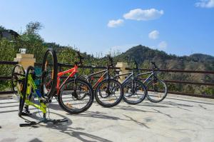 SNOW TRAILS CAMP