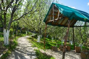 SNOW TRAILS CAMP