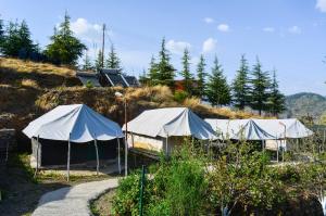 SNOW TRAILS CAMP